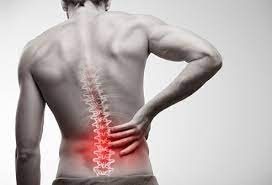 Could Your Back Pain be Caused by a Herniated Disc? | PacificPro Physical Therapy & Sports Medicine